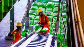 Dangote fertiliser, thyssenkrupp Uhde partner to license four urea granulation units in Nigeria