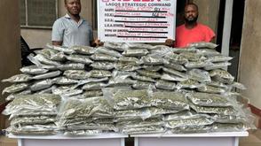 NDLEA seizes 14,440kg skunk, arrests Lagos kingpin