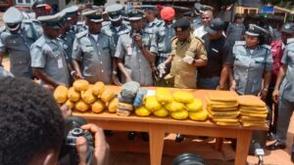 Customs Command seizes 3,699 parcels of cannabis sativa in Ogun