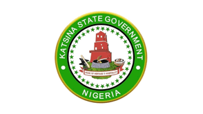 Katsina Govt introduces action plan to standardise public school teaching – Commissioner