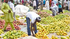 NAFDAC warns against chemical ripening of fruits