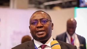Siemens Power projects will ensure stability of power grid — Adelabu