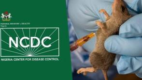Young adults hit hardest in 1,119 Lassa fever cases – NCDC
