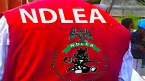 NDLEA establishes drug rehabilitation centre in Yobe