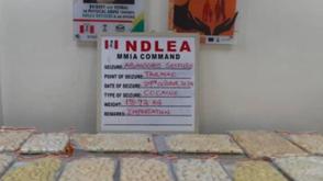 NDLEA confiscates N4bn worth of cocaine at Lagos airport