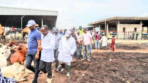 Lagos butchers back access control at Oko-Oba Abattoir 