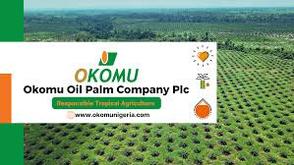 Okomu Oil posts N6.24bn pre-tax profit in Q2 2024