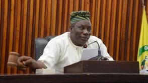 Ogun Assembly assures NHRC of support in preventing Gender-Based Violence