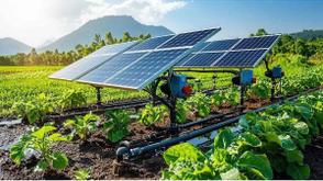 Nigeria must not be missing in the solar agriculture revolution