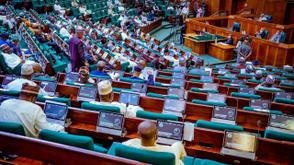 Bill to limit Presidential, Governorship candidates to under-60 passes second reading