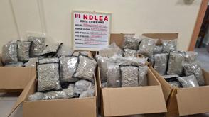 NDLEA seizes 66 parcels of cannabis disguised as green tea at Lagos Airport 
