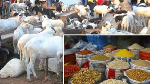 Food insecurity: Nigerians battle economic hardship over hike in prices of rams, foodstuff as inflation bites harder