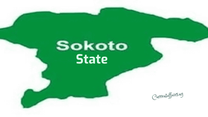 Sokoto seeks stronger collaboration to tackle GBV