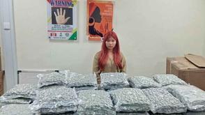 NDLEA thwarts Thai lady operation to smuggle 43 parcels of Canadian Loud
