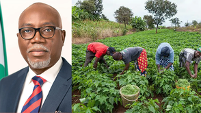 Ondo farmers hail Aiyedatiwa’s commitment to agriculture