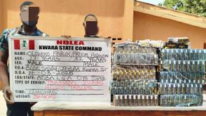 NDLEA intercepts cocaine, opioid shipments to US, Saudi Arabia, Italy, Poland