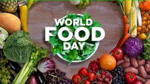 Celebrating World Food Day with hunger