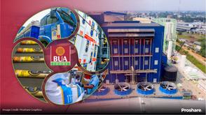 BUA Foods vs Nestle Nigeria Plc: BUA Foods triumphs
