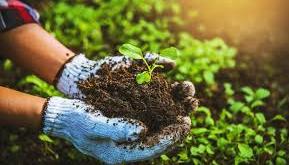 Food security: stakeholders pledge to increase agriculture budget for 2025