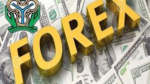 Nigeria to receive ₦8.8trn liquidity Inflow in April — FMDA