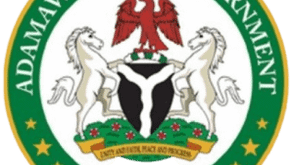 Adamawa govt signs MoU with REA to promote renewable energy devt, access