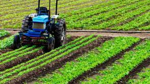 How K-RAD can harness Brazil-Nigeria pact for Osun’s growth