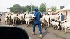 Ekiti Gov’t blames external saboteurs as state intensifies moves to end farmers-herders crisis