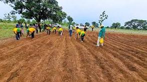 Sasakawa Africa Association distributes farm inputs to 9,000 smallholder farmers