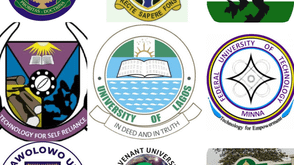 Nigerian universities with the best coding programme
