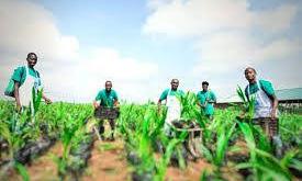 Ebonyi Govt. offsets N300m IFAD-VCDP counterpart fund—Commissioner