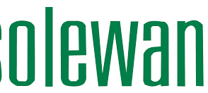 Solewant Group celebrates a quarter century of innovation