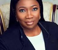 N673m diaspora investments recorded in 2024, more deals coming in 2025 – Dabiri-Erewa