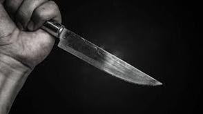 Tragic news: 14-year-old fatally stabs police officer and injures another in Bosnia