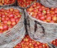 Tomato farmers attribute price hike to Sallah, low production