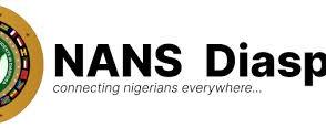 NUSA seeks voting rights for Nigerians in diaspora