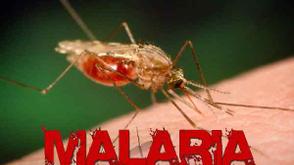 Dangot, Otedola, Elumelu lead govt efforts to eradicate malaria