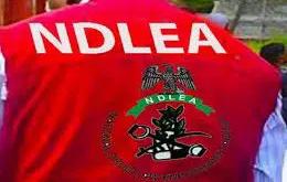 NDLEA nabs social media influencer for allegedly promoting cannabis-laced cookies