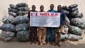 NDLEA seize hard drugs hidden in frozen snails, electrical bulbs