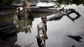 Lagos fish farmers seek govt intervention over challenges