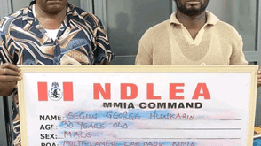 NDLEA nabs ex-footballer, 72-year-old grandma, others in major drug raids
