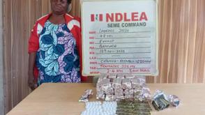 NDLEA nabs female cocaine suspect, seizes drugs valued at ₦5bn