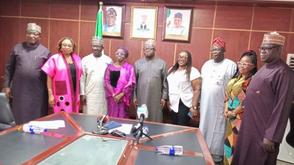 FG inaugurates committee on development of local cartoons