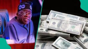 FG to borrow N17.89trn to finance 2026 budget deficit