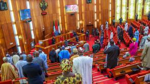 NDDC seeks Senate approval for ₦1.75trn budget