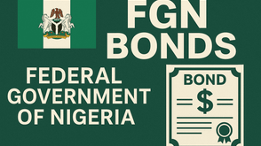 FG targets N900bn in January bonds offer