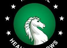 FG commences final interviews for National Health Fellows 2.0