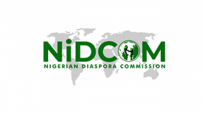 DHII 2026: Nigerian diaspora medics to lead nationwide health revolution