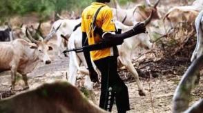 Oyo records 100 farmers–herders clashes monthly — NSCDC