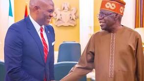 Elumelu meets Tinubu, reach pact to increase Bank lending to MSMEs