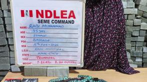 NDLEA foils fake pregnancy drug plot at Seme border